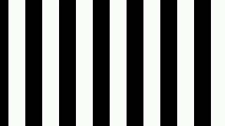 Optokinetic Stripes [upl. by Toland]