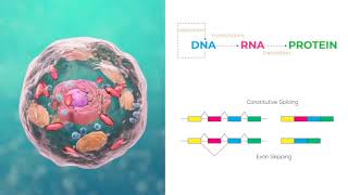 Transcriptomics 1 Introduction to RNASeq bioinformatics analysis of gene and isoform expression [upl. by Rajewski]