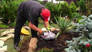 💚 GARDEN DESIGN 102  How to build a super rockery  Jak zmontować super skalniak [upl. by Wetzel144]