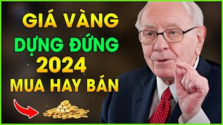 Giá Vàng 2024 Tăng Kỷ Lục Đầu Tư Ngay Hay Chờ Đợi Xem Ngay Để Biết [upl. by Adnelg413]