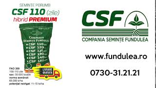 Seminte Fundulea samanta porumb hibrid premium CSF 110 FAO 300 [upl. by Reivazx308]