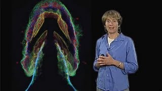 Carolyn Bertozzi UC Berkeley Part 2 Imaging the Glycome [upl. by Heeley]