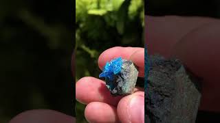 Chalcanthite from Local Planet Mine Arizona USA [upl. by Helas]