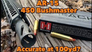 450 Bushmaster AR15 How will it group at 100yd [upl. by Adnorat565]