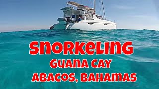 Snorkeling East of Guana Cay Abacos Bahamas with Cruise Abaco [upl. by Franciscka951]