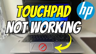 HP Laptop Touchpad not Working SOLVED  Quickly amp Easily [upl. by Lamiv]