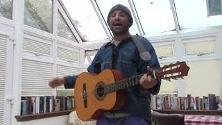 MILLTOWN BROTHERS Sally Ann Cover by Damo [upl. by Cheadle453]