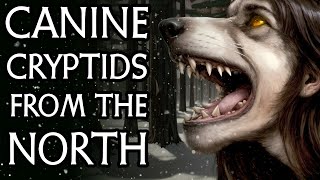 Dogman and LoupGarou Creepy Canines in Canadian Folklore 2 Hour Cryptozoology Documentary [upl. by Elbon257]