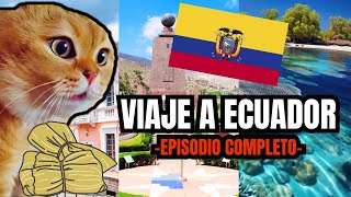 VIAJE A ECUADOR  episodio completo meme de gatos [upl. by Bruis757]