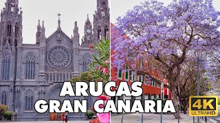 ARUCAS  Gran Canaria  A Hidden Paradise You Must Explore  Heres Why [upl. by Ecnatsnoc]