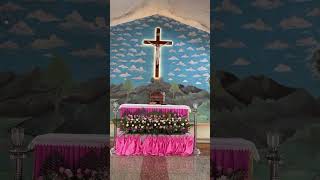 Altar decoration with cloth and flowers church ⛪️ catholicchurch catholic church flowers [upl. by Jayme]