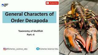 General Characters of order Decapoda  Taxonomy of Shellfish  Part 4  Fisheries Science [upl. by Aromas]