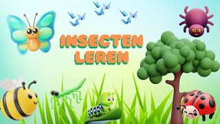 Ontdek de wereld van insecten🦋 Leer alles over insecten🐞Nederlands 🐌Peuters en Kleuters [upl. by Patricia511]