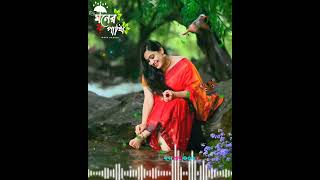 মনে তোরে চাই রে বন্ধু দিল তোরে চাইMONE TORE CHAY RE BONDHU DILE TORE CHAYbangla sadstatus song [upl. by Meyeroff40]