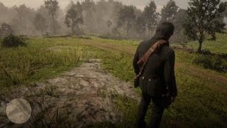 Red Dead Redemption 2 Explorer Glitch Patch 115 [upl. by Ehsrop]