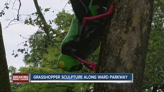 Giant grasshopper sculpture turning heads on Ward Parkway [upl. by Ecnedurp533]