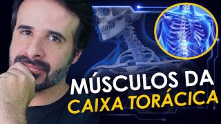 MÃšSCULOS DA CAIXA TORÃCICA EU TENHO CERTEZA QUE MUITOS DE VOCÃŠS NÃƒO CHEGARAM A ESTUDAR [upl. by Odnomyar]