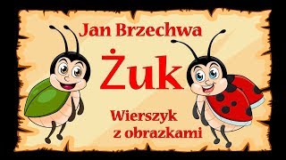 🐞🐞🐞Żuk  Jan Brzechwa  wierszyk bajka animacja dla dzieci [upl. by Ely]