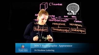 MSCT Radiographic Appearance [upl. by Edgard365]