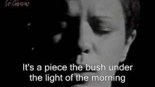 Elis Regina amp Tom Jobim Waters of March  English subtitles [upl. by Schulze617]