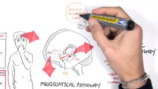 Brief Introduction to Psychosis [upl. by Nodnelg]