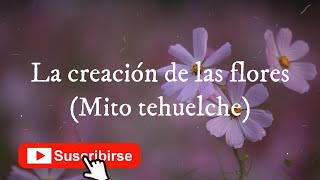 El origen de las flores mito tehuelche [upl. by Par]