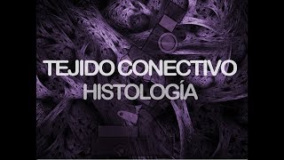 Tejido conectivo  Histología [upl. by Niwde]