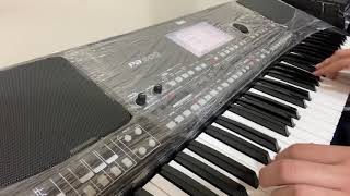 korg pa600 Arabic [upl. by Haroved]