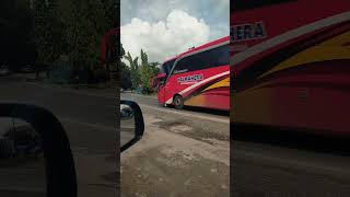 HALMAHERA busmania adiputro adiputrokaroseri scania Halmahera busindonesia ayonaikbus [upl. by Bundy692]