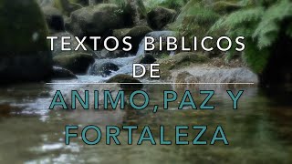 15 TEXTOS BIBLICOS DE ANIMO PAZ Y FORTALEZA [upl. by Asirret]