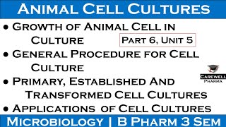 growth of animal cells in culture  procedure of animal cell culture  applications of cell culture [upl. by Ricky]