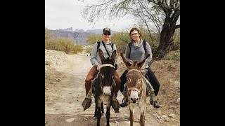 Burros and Lunch in Mexico [upl. by Spatz]