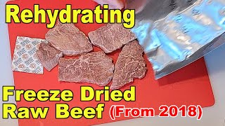 Rehydrating a Raw Freeze Dried Beef Tri Tip Sample from 2018 amp Inventory Tracking [upl. by Jobye768]