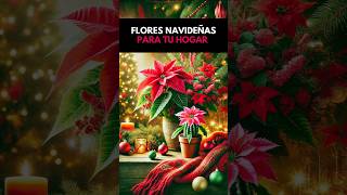 🌿🌸 ¡Las flores navideñas que sorprenden cada diciembre No te las pierdas [upl. by Mills]