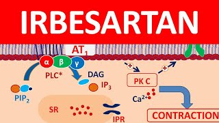 Irbesartan  Mechanism precautions side effects amp uses [upl. by Airalednac]