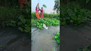 Unique Fishing In Mud Water  Best Fishing Video hookfishingVideo fishingmethods hookfishtrap [upl. by Zoeller]