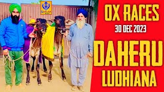 🔴Live Daheru  Near Bija  Ludhiana  Ox Races  30 Dec 2023 [upl. by Aelahs477]