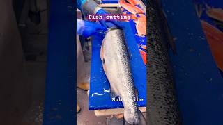 Huge salmon fish cutting [upl. by Athalla]