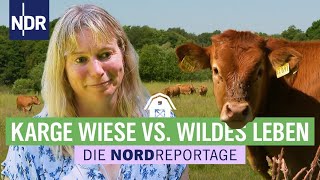 Bunte Vielfalt auf niedersächsischen Wiesen  Die Nordreportage  NDR [upl. by Alo]