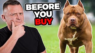 Is the PIT BULL Right For You [upl. by Streetman]