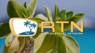 Roatan Travel Network  V13 [upl. by Clotilde]