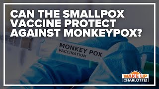 Will smallpox vaccine protect you from monkeypox [upl. by Pirbhai124]