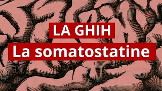 La somatostatine GHIH [upl. by Acinom980]