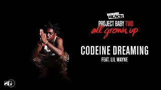 Kodak Black  Codeine Dreaming feat Lil Wayne Official Audio [upl. by Pattani53]