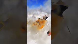 The cheering was on point best extremesport snow snowboardfails [upl. by Rand]