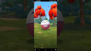 random electrode 0 pokemongo [upl. by Mailliw701]