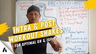 Optimize your Growth Hormone and IGF 1  Take your Intra amp Post Workout Shakes Correctly [upl. by Cohe380]