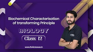 Biochemical Characterisation of Transforming Principle  Griffith Experiment  Class 12th Biology [upl. by Urquhart]