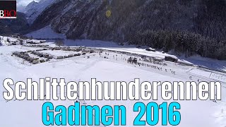 Schlittenhunderennen Gadmen 2016 [upl. by Atteirneh225]