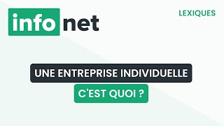 Une entreprise individuelle cest quoi   définition aide lexique tuto explication [upl. by Nortal]